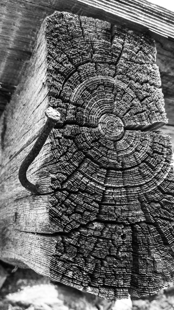 Photograph by Артём