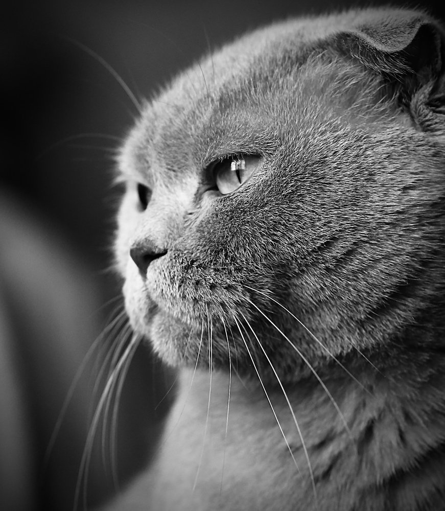 Photograph by  Михаил