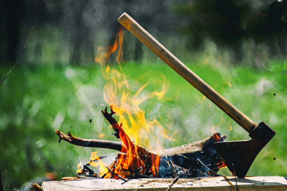 Photograph by DAMOUN POURNEMATI