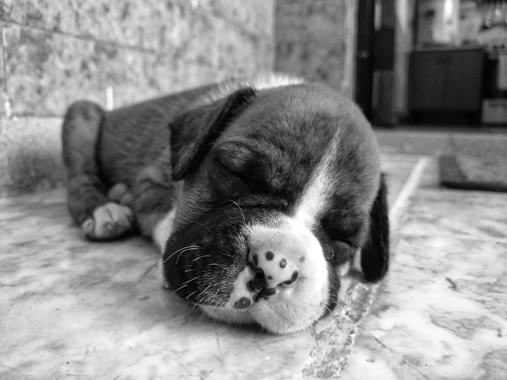 Paz en mi nuevo hogar