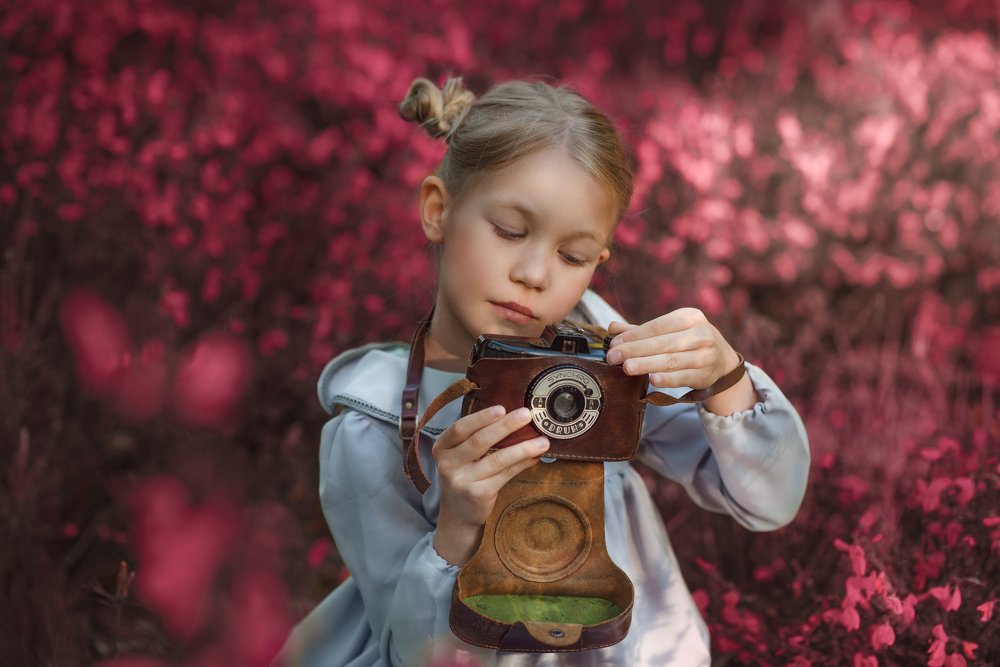 Photograph by Gołębiewska