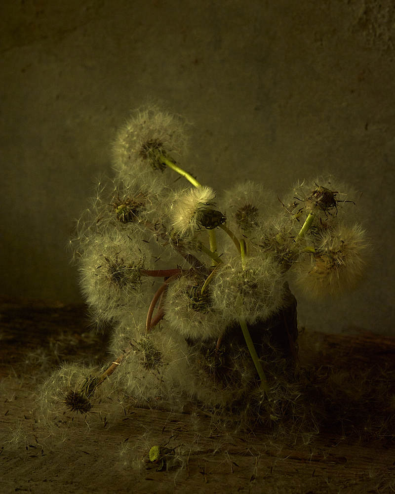 Увядание/Withering