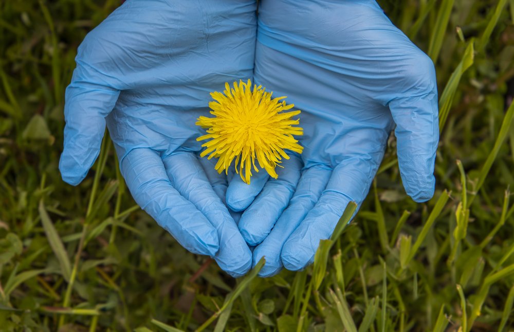 Photograph by Лариса Рулёва