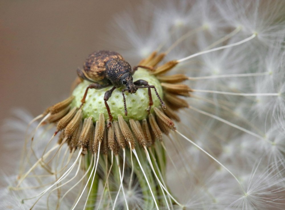 Photograph by Игорь Осипов