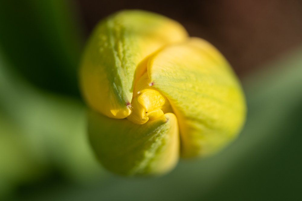 Photograph by Ирина Куриленко