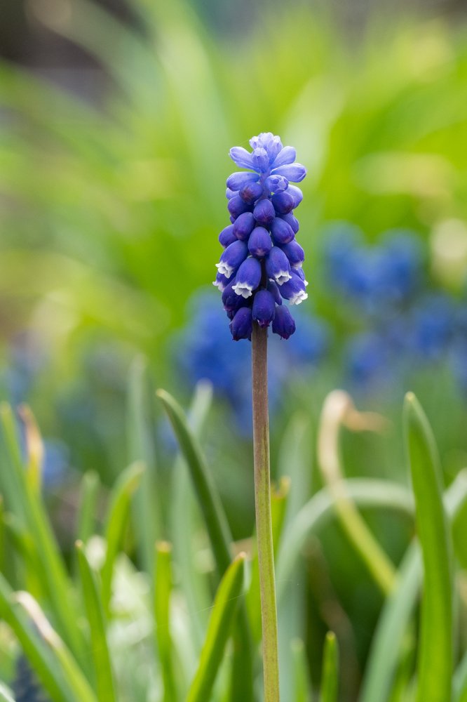 Photograph by Ирина Куриленко