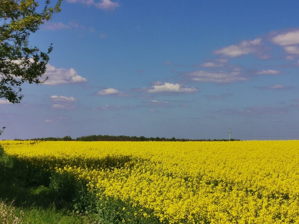 Photograph by Александр Костин