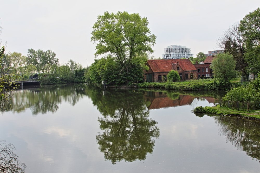 Photograph by Сергей Плужник