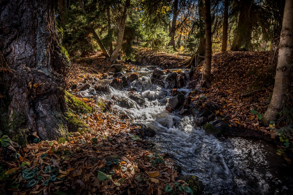 Photograph by Helen Vasilieva