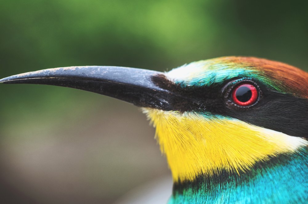 Photograph by Gabriel Wolf