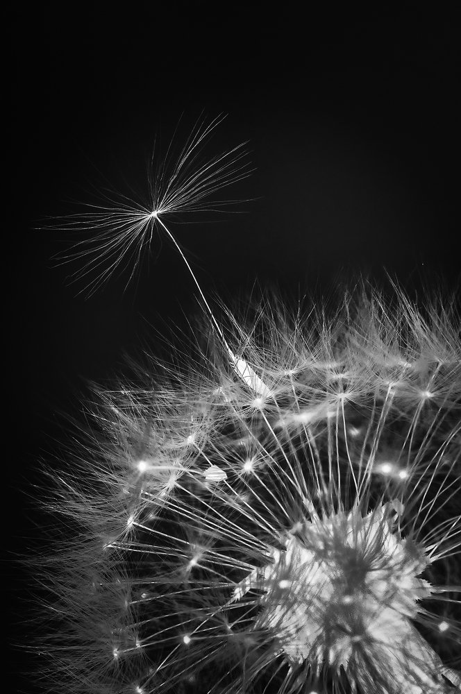 Photograph by Расторгуева Оксана