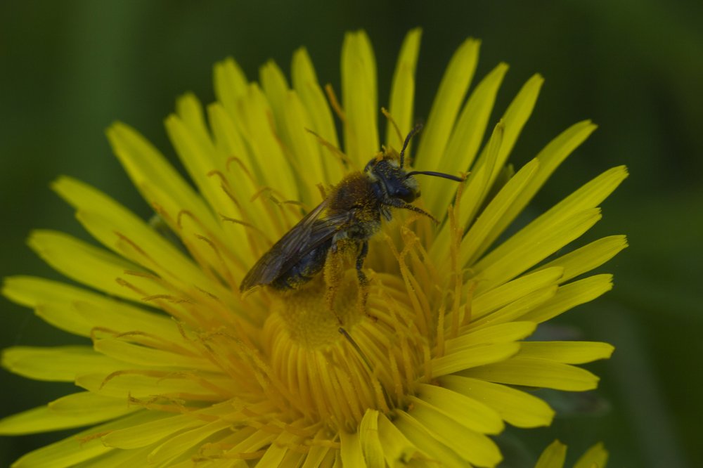 Photograph by Анна-Лаймуте Милошевич