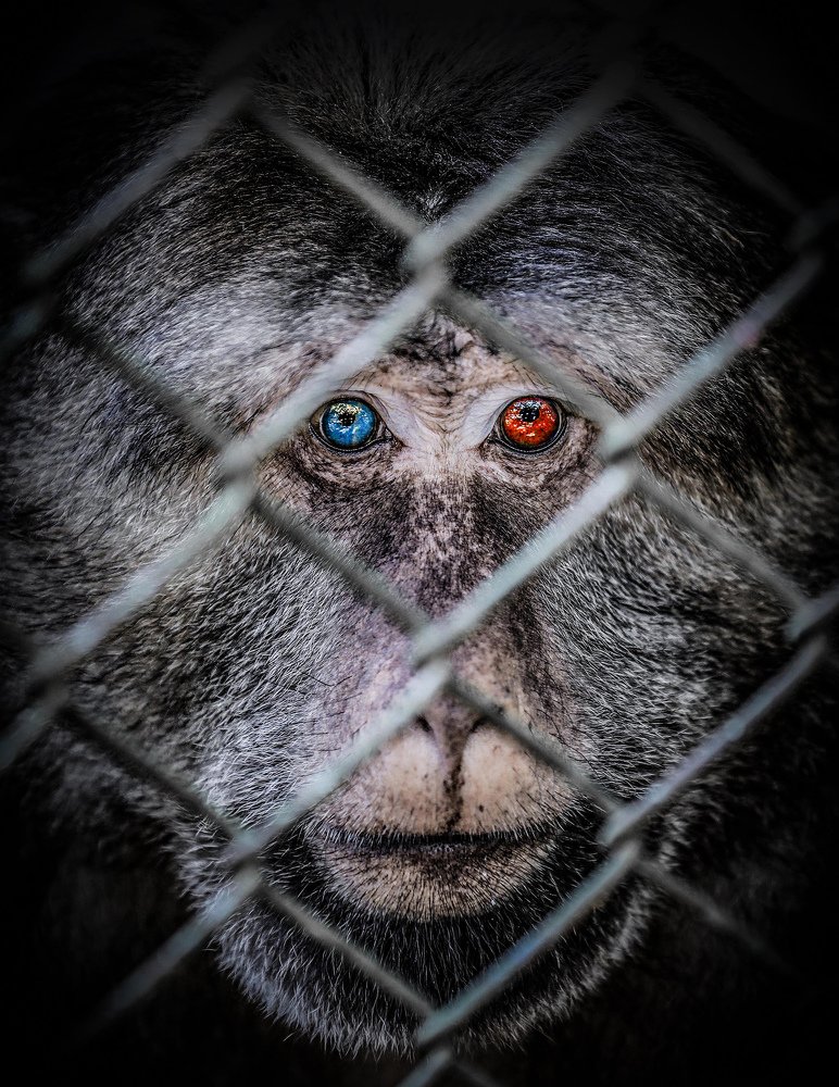 Photograph by 杨 阳