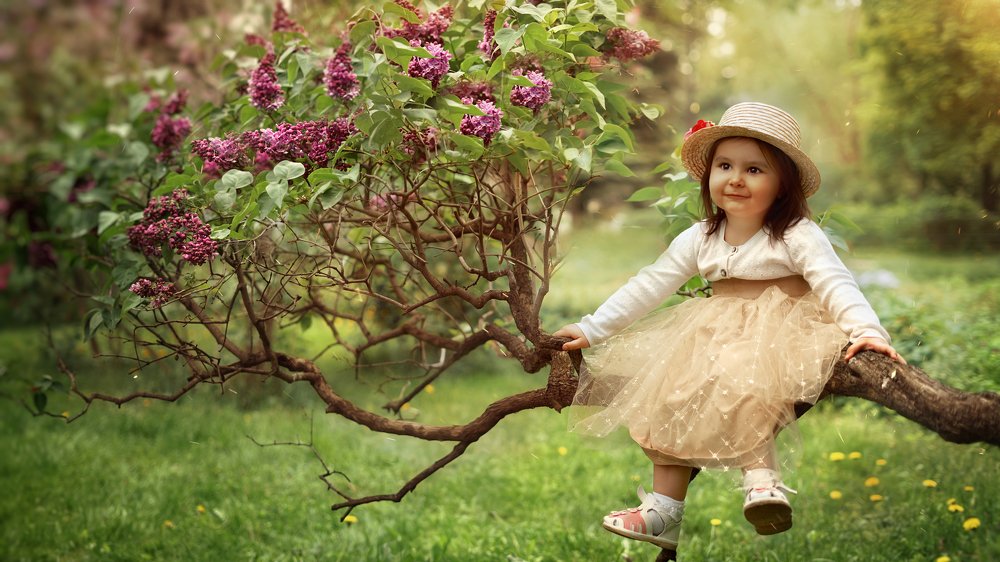 Photograph by Илона Петриченко