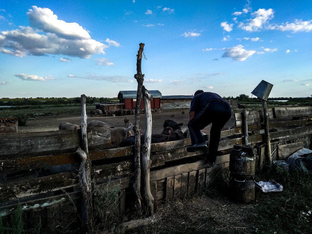 Photo #4624455