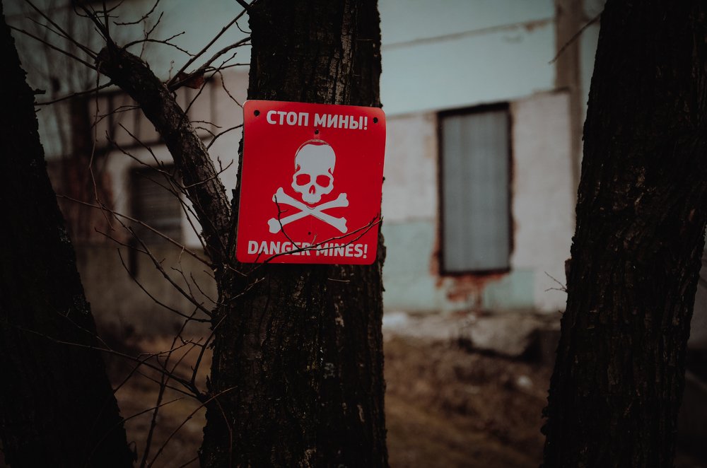 Фотография автора Андрей Жданов