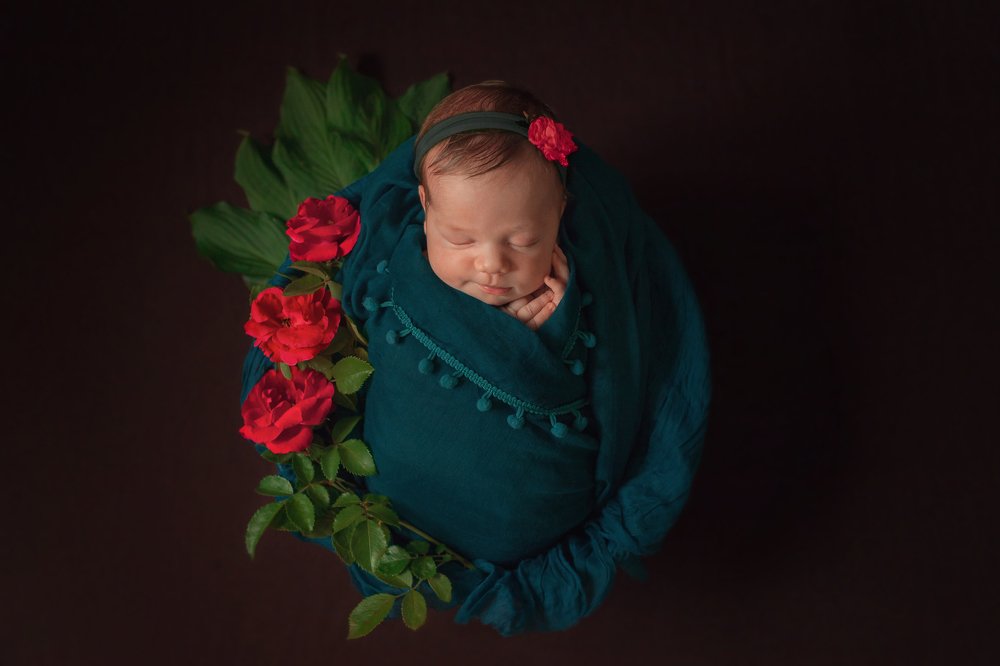 Photograph by Ирина Гриб