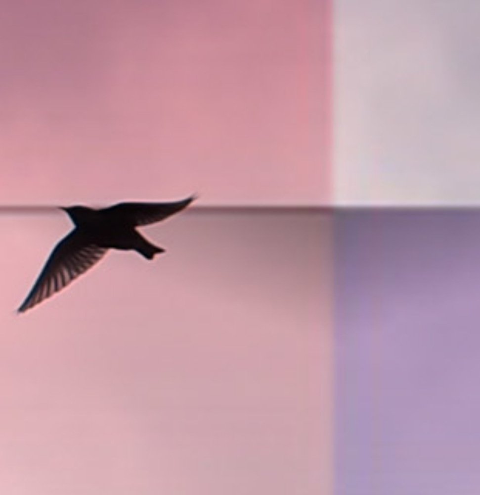 Фотография автора Judita L.