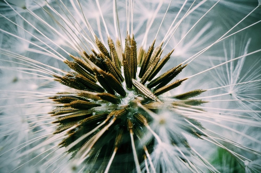 Фотография автора Иван Вдовин