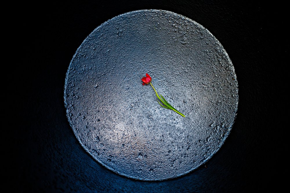 Photograph by Mihai Romeo Bogdan