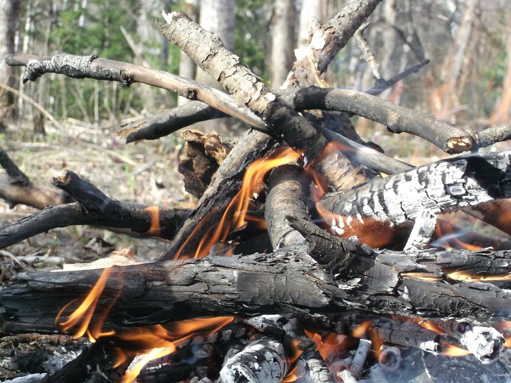 Photograph by Михаил Лавренков