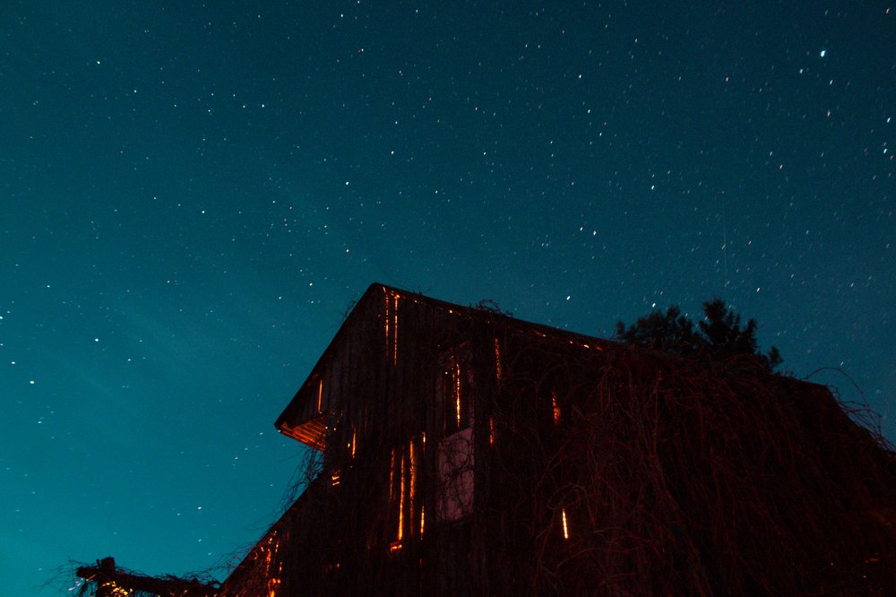 Photograph by Ярослава Лось