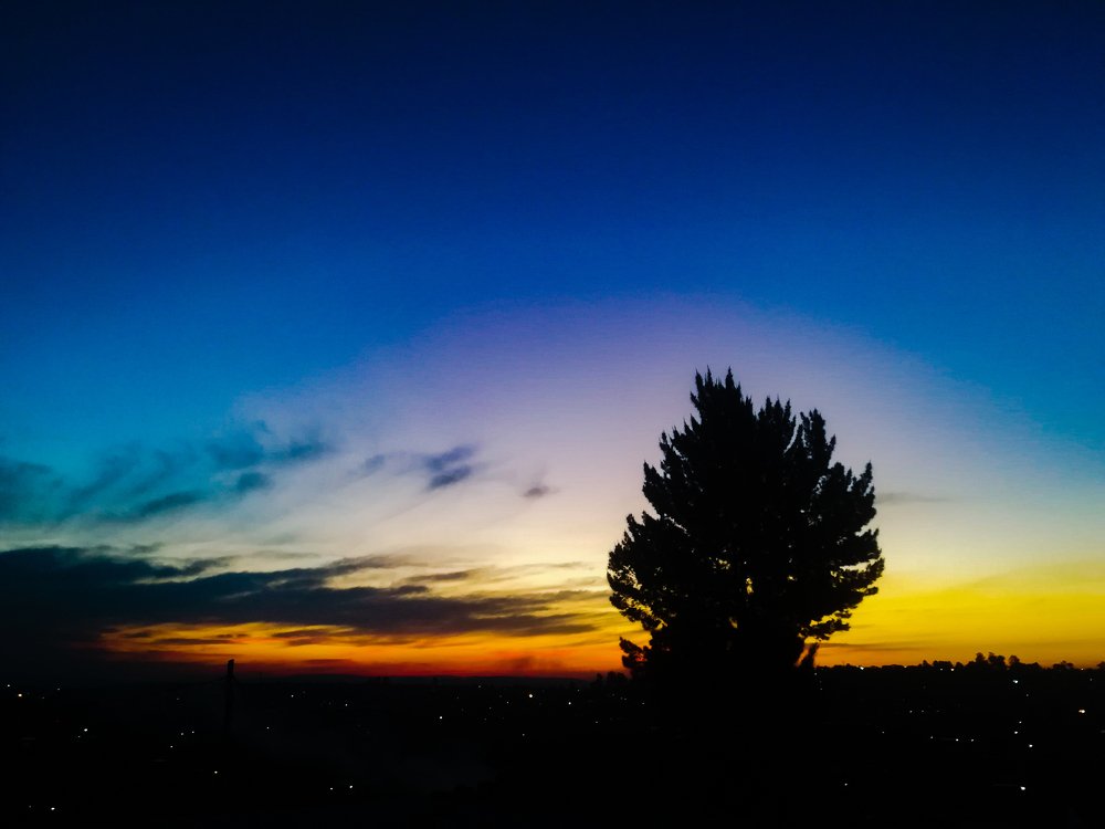 Photo #4624867