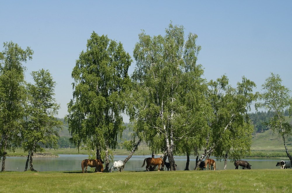 Photograph by Ольга Воронова