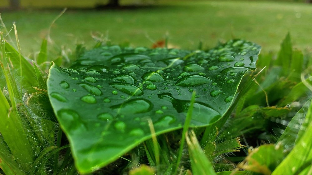 Photograph by Serravallo Alexandre