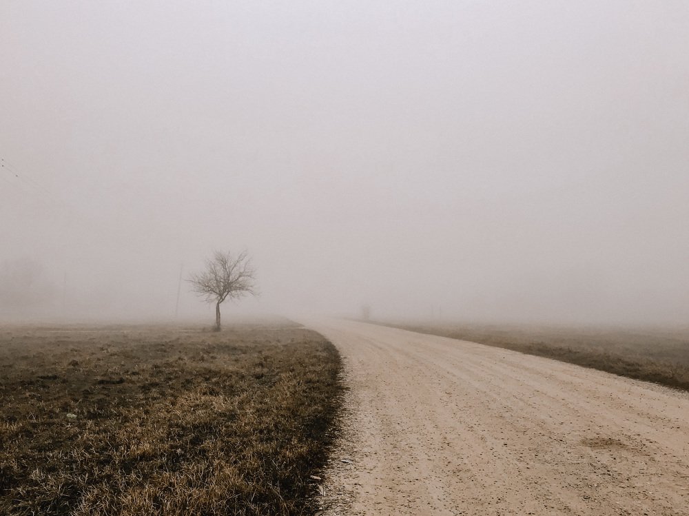 Photograph by Галина Бородина