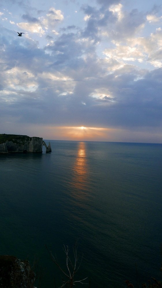 Photograph by 
