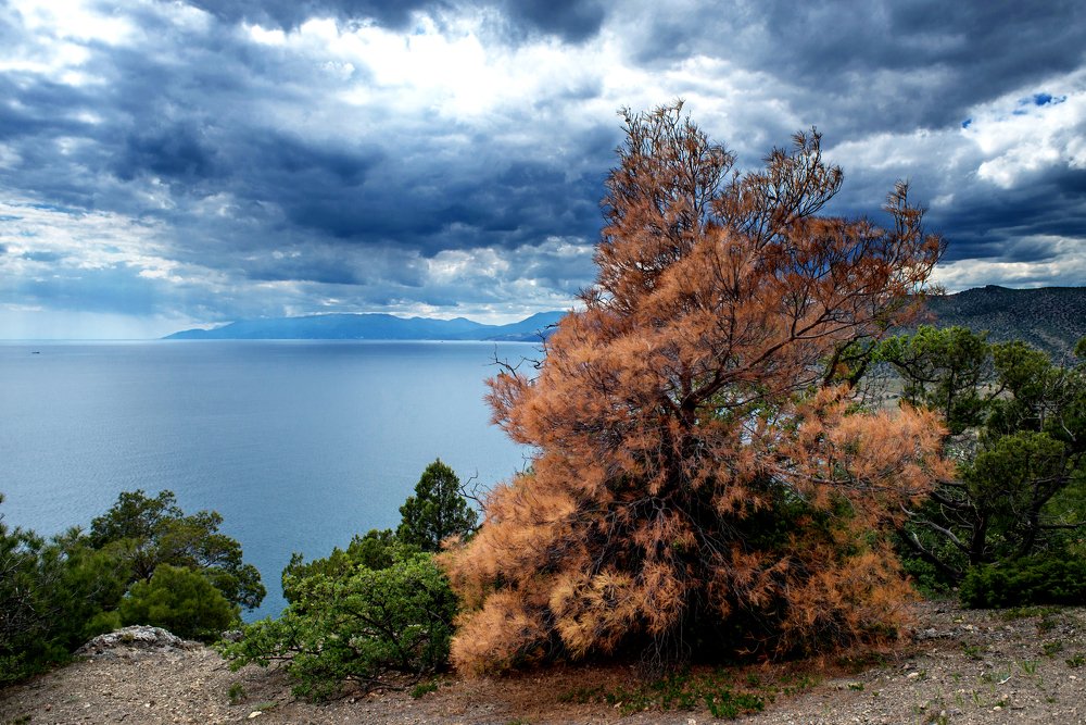 Photograph by Вадим Стрельцов