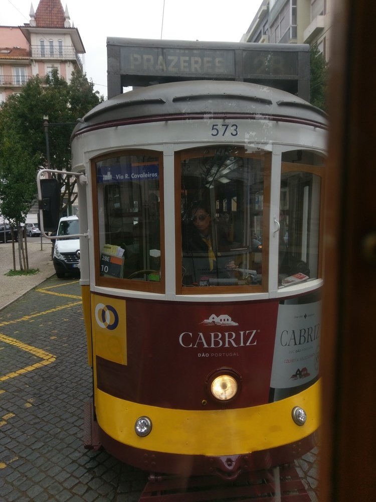 Photo #4625099