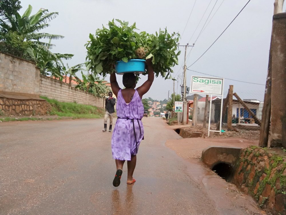 Photograph by Steven Kabuka