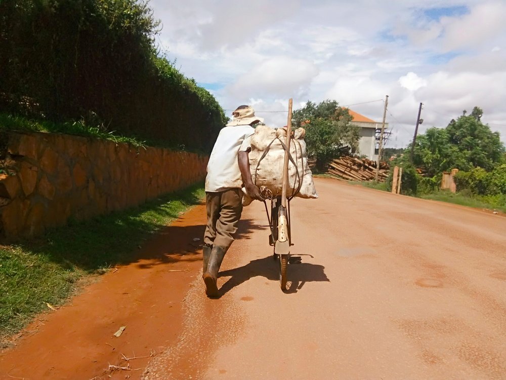 THE COVID-19 LOCKDOWN