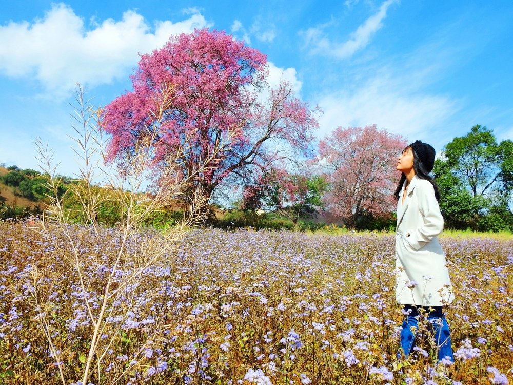 Photograph by Zaw Htun