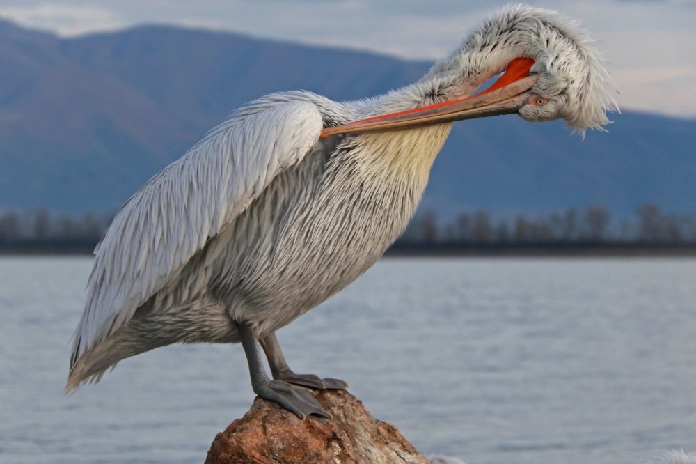 Photograph by Piotr Warzecha