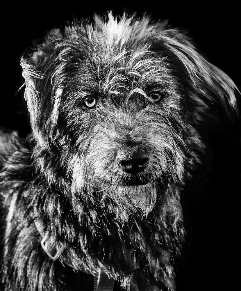 Photograph by Владимир Брагилевский