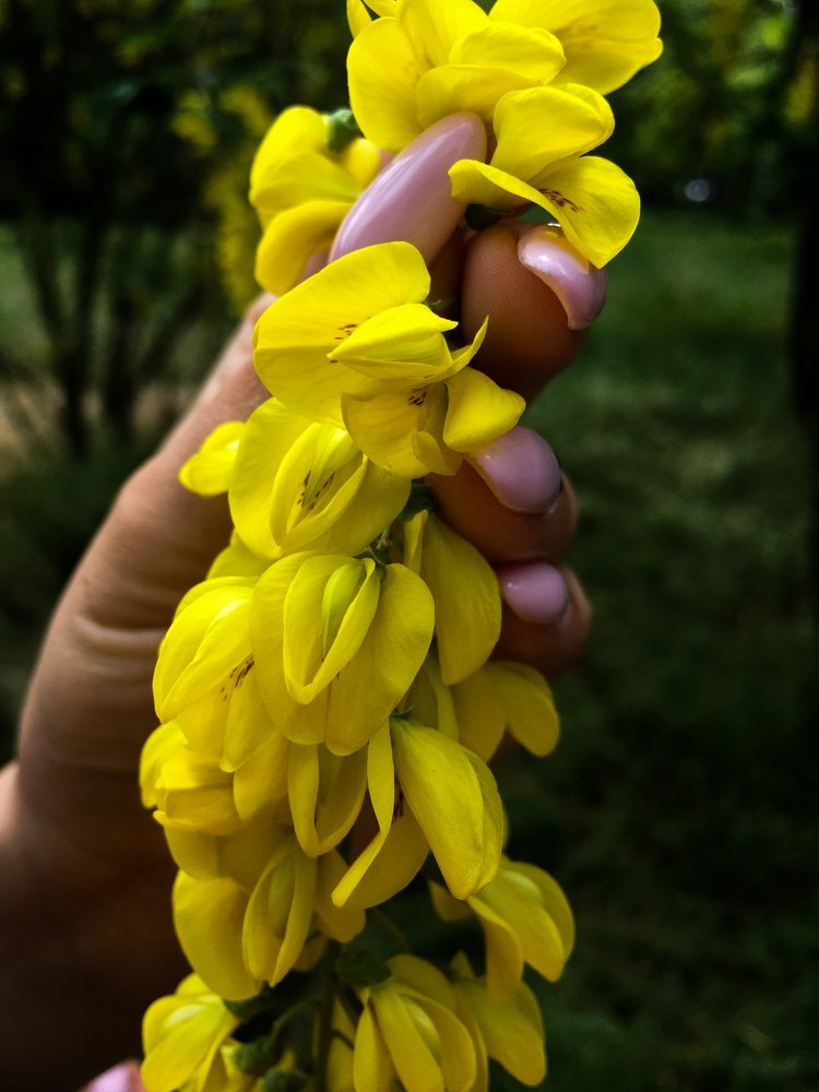 Photograph by Ольга Левенец