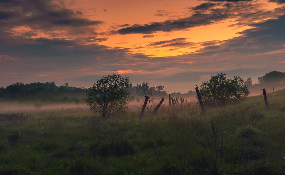 После дождя