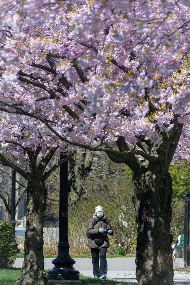 Photograph by Koel Das