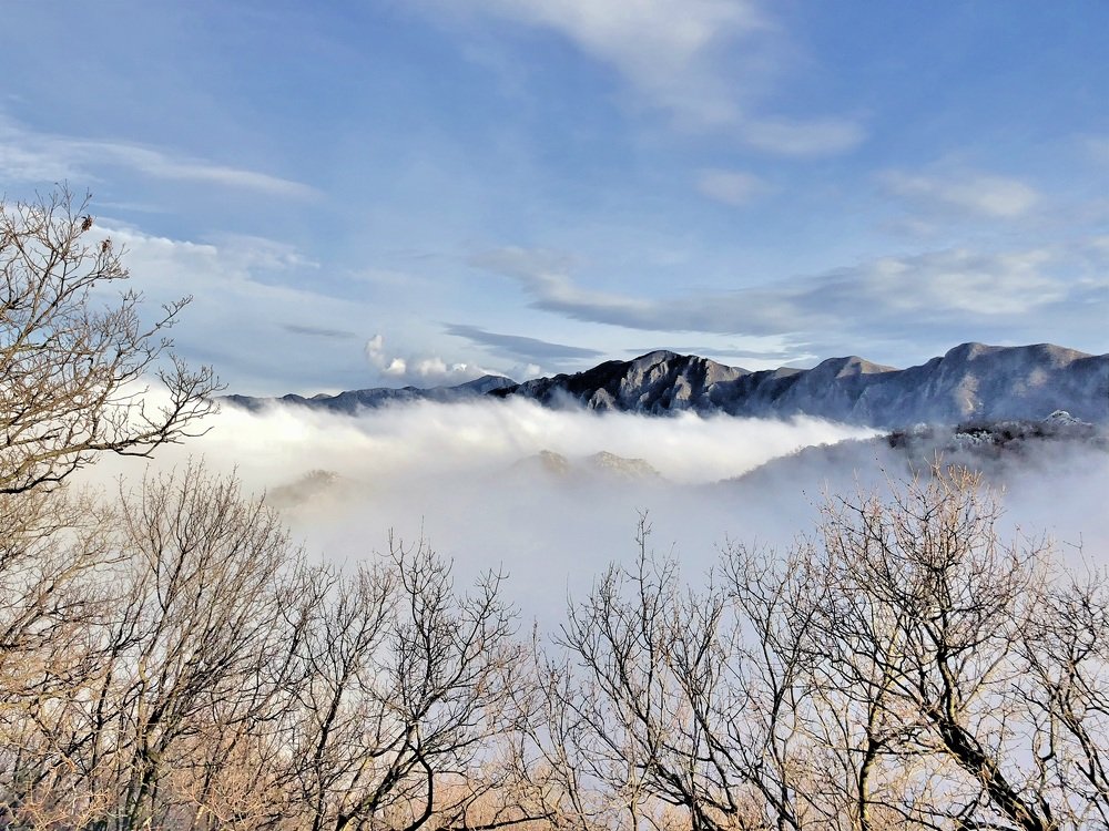Photograph by Nebojsa Kavaric