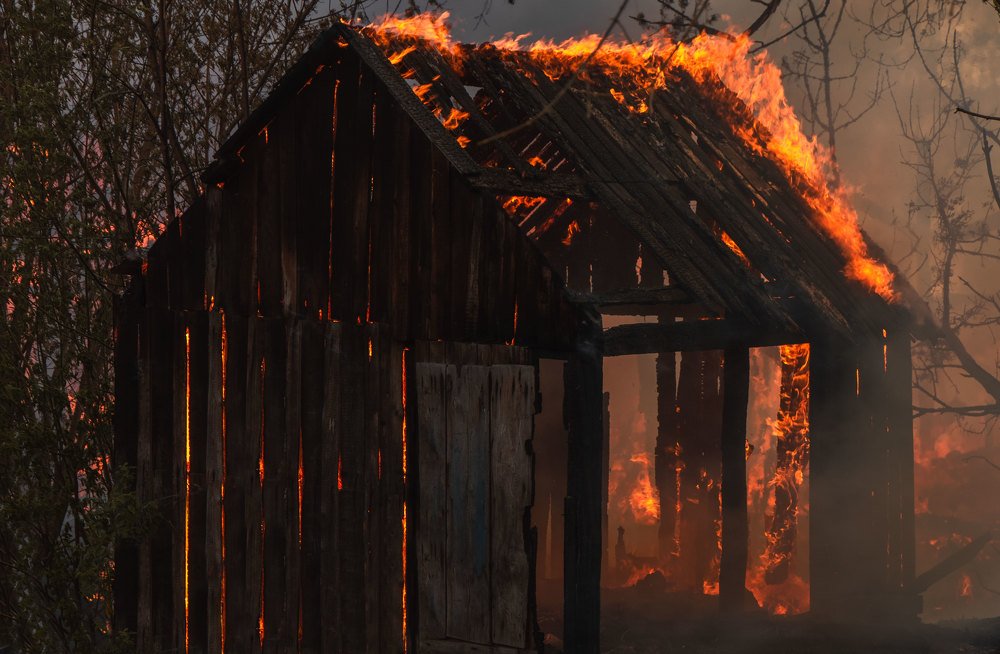 Фотография автора Полина Лебедева