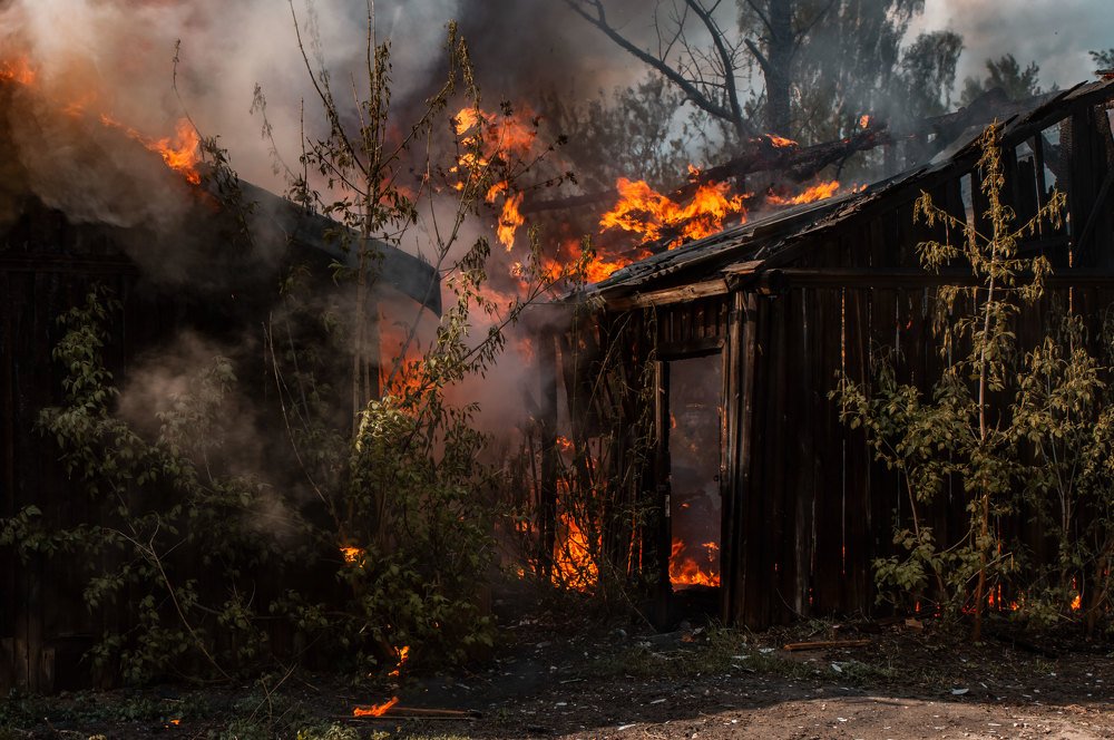 Фотография автора Полина Лебедева
