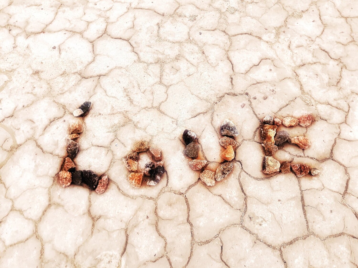 Photo #4625932