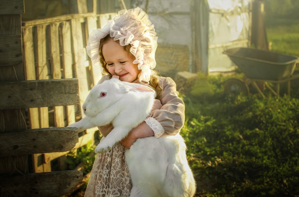 Photograph by Ольга Коротенко