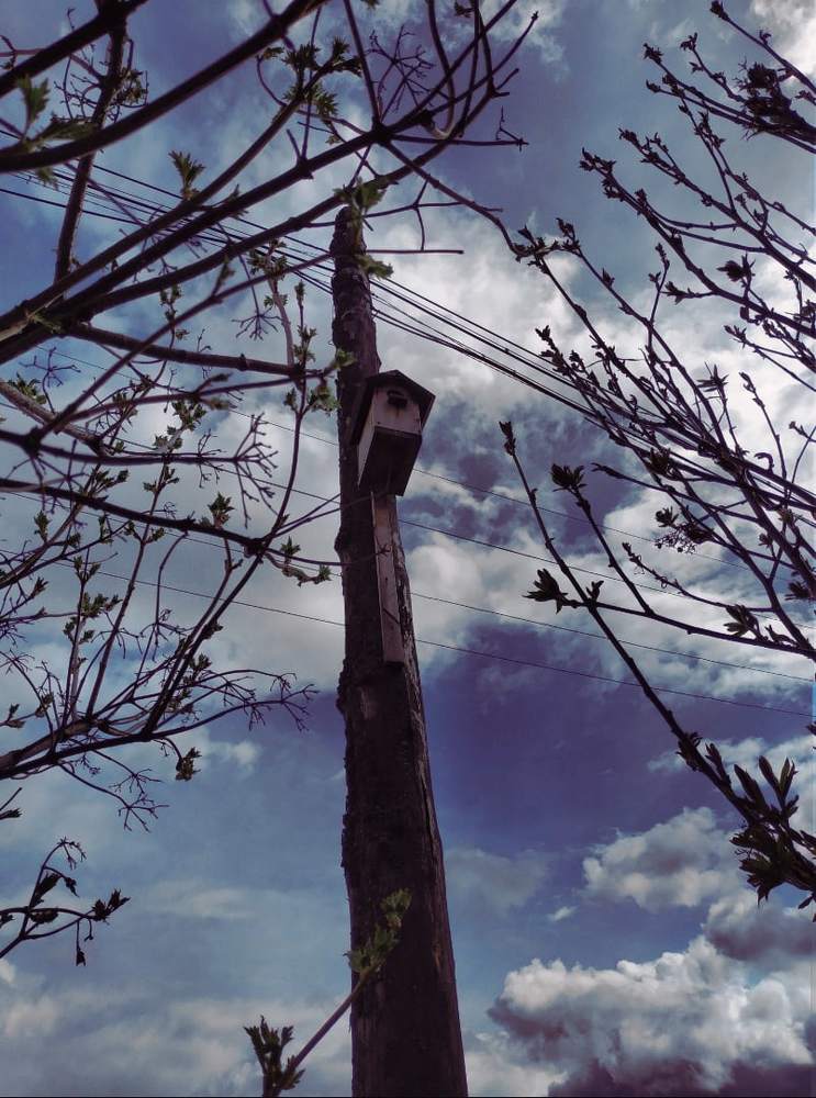 Photograph by Андрей Беслер