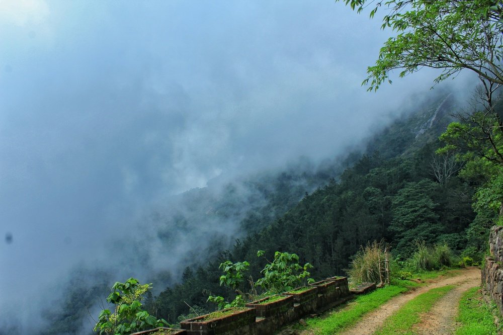 way to the foggy mountains