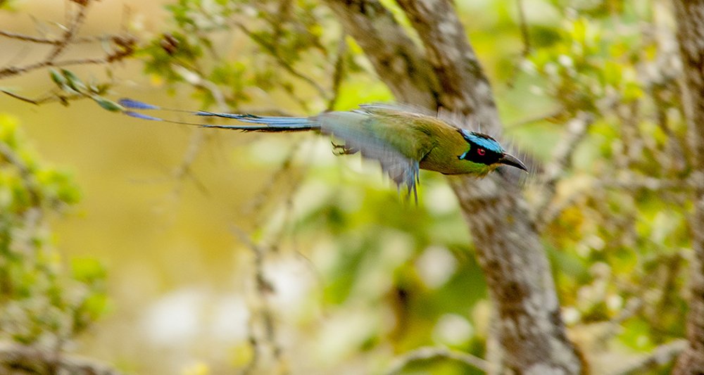 Photograph by Alfredo Valderruten