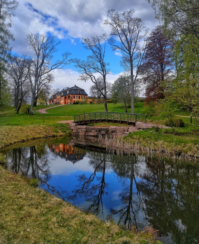 Beautiful reflection